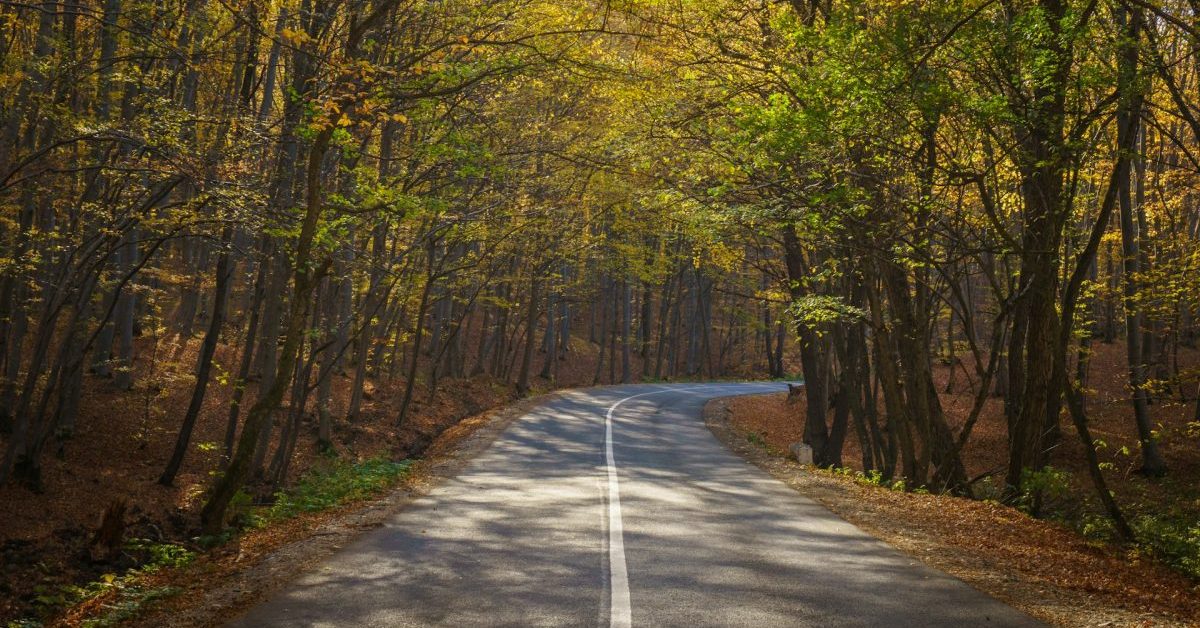 Walking down the road with God