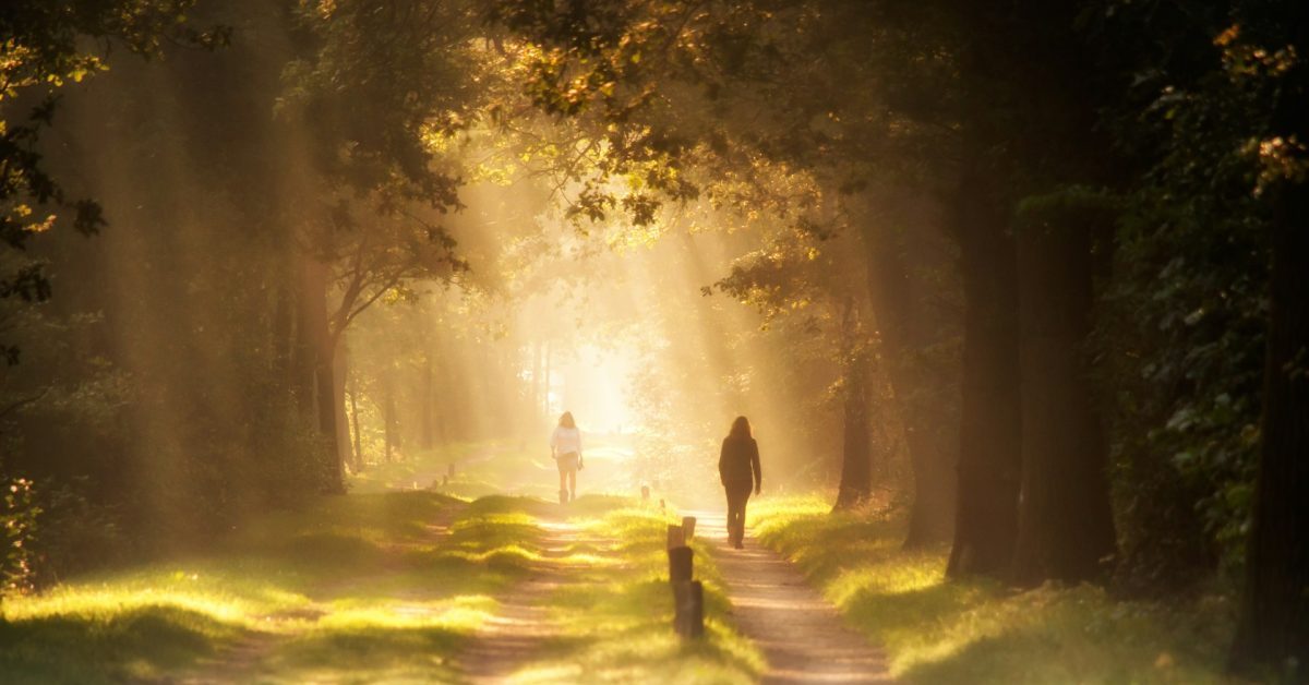 Walking in the light